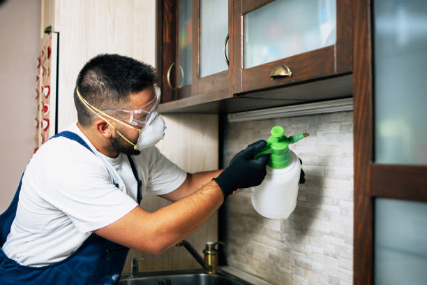 Best Flea Control Services  in Fairview Ferndale, PA