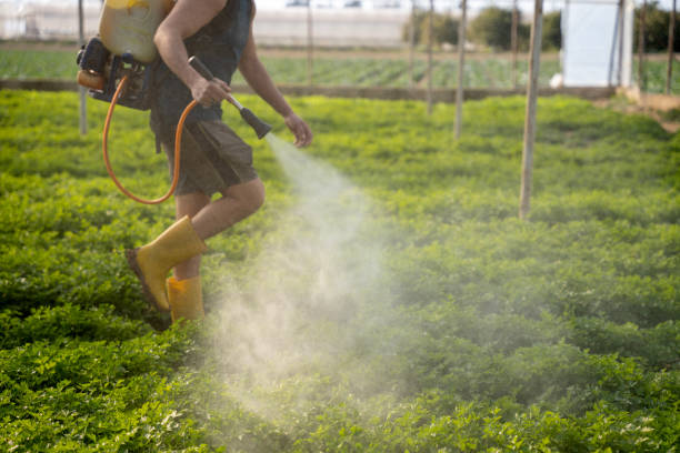 Professional Pest Control in Fairview Ferndale, PA
