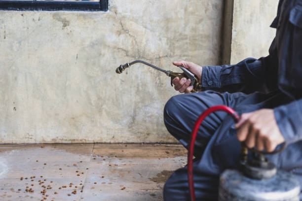Pest Control Cost in Fairview Ferndale, PA
